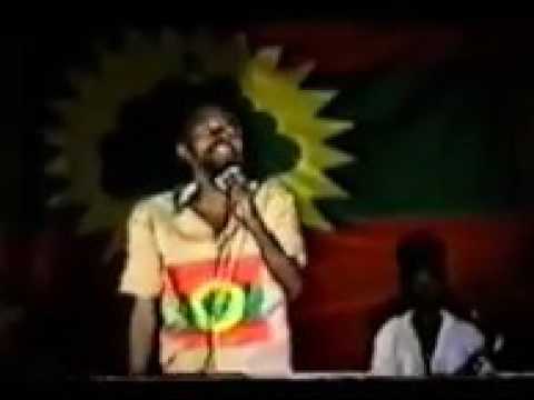 Hawwisoo Caffee Gadaa