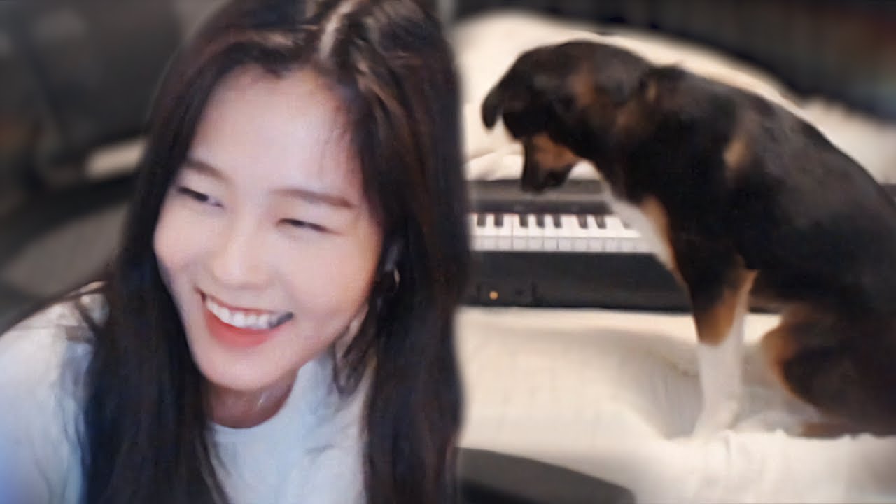 why animals don't like me