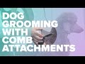 Dog Grooming with Comb Attachments on Your Clippers by Chris Pawlosky