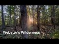 Silent Hiking Webster's Wilderness