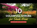 10 shrubs that will add color and thrive in the shade   gardening tips