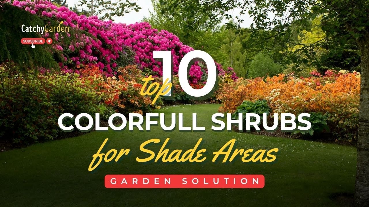 10 кустарников, которые добавят красок и будут прекрасно себя чувствовать в тени 🌸🌳🌷 // Советы по...