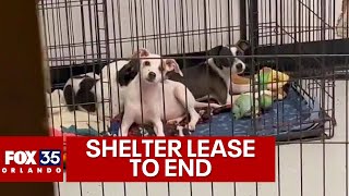 Florida dog shelter in need of help