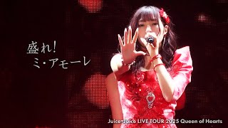Juice=Juice『盛れ！ミ・アモーレ』Live at Zepp DiverCity 2025.9.17