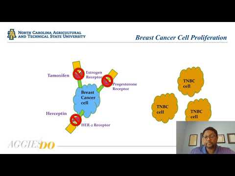 Examining the Chemotherapeutic