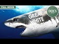 Great White Death (1981) | Full Shark Documentary | Ft. Glenn Ford