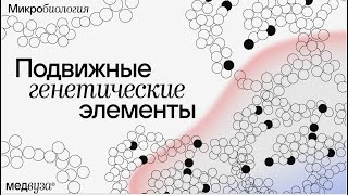 Подвижные генетические элементы | Микробиология