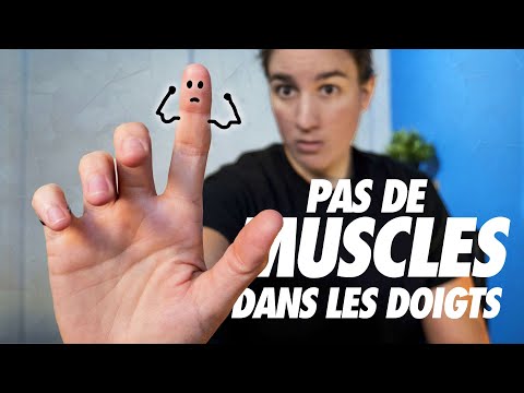 Vidéo: D'où viennent les noms des doigts des mains humaines ?