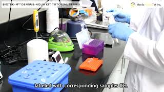 LAMP PCR Detection of Dengue using the Biotek-M™ Dengue Aqua Kit