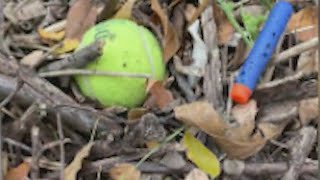 130-page study on trash in Austin-area creeks