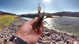 Fishing With Live Crawfish! Everything You Need To Know
