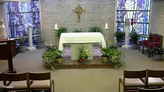 7-2--26 Thurssday of the 13th Week of Ordinary Time