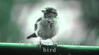 Miniatura de vídeo de "我是一只小小鸟 - I'm a little little bird"