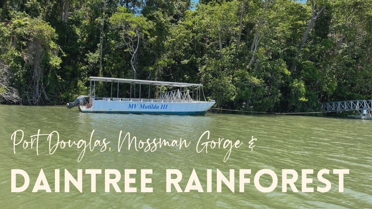 daintree river cruise from port douglas