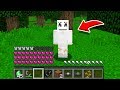 Minecraft: How to play MARSHMELLO in Minecraft! REAL LIFE MARSHMELLO! Battle NOOB VS PRO Animation