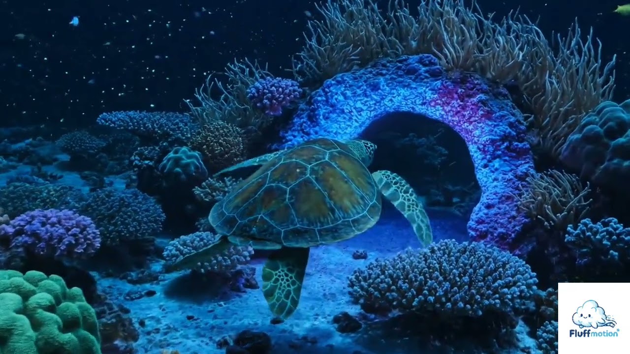 When the Sea Turtle Meets the Glowing Ocean 
