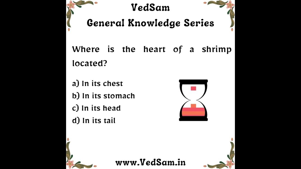 Where is the heart of a shrimp located gk questions about animals