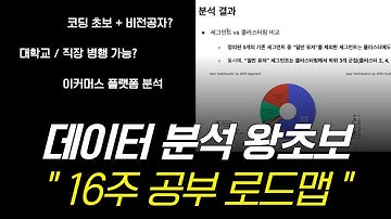 비전공자가 데이터분석 처음 공부한다면? 10분만 이 영상 투자하세요ㅣ이커머스 플랫폼 데이터 분석해보기