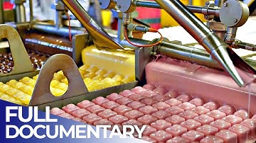 Europe’s Biggest Cake Factory: The Secrets of Mass Cake Production | FD Engineering