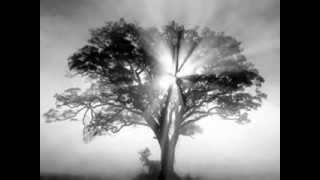 Gerald Troost - Thuis