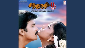 Adiye Adi Chinnapulla