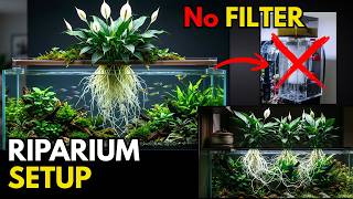 The Secret Land Plant 7 Powerful Benefits Of Peace Lily In Aquariums Living Aquarium