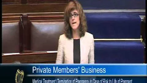 Michelle Mulherin's "fornication" remarks during D...
