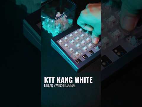 KTT Kang White