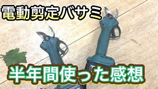 【KUAMOO】電動剪定バサミを半年使用してみた感想