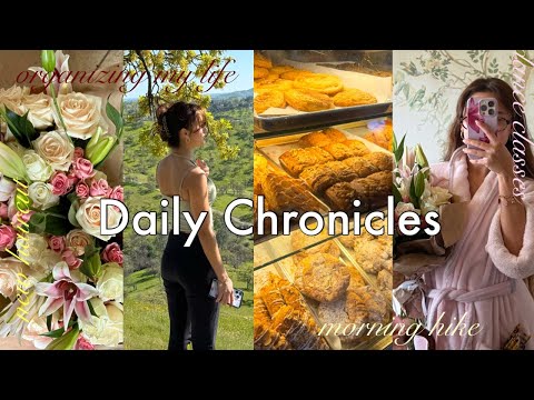 daily chronicles 🍀morning