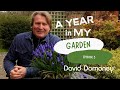 A Year In My Garden – Episode 3: The Perils of Summer