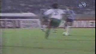 Grêmio 5X0 Palmeiras - Libertadores 1995 Second Goal
