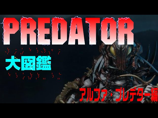 豆魚雷プレデター図鑑】アルファ・プレデター編 - YouTube