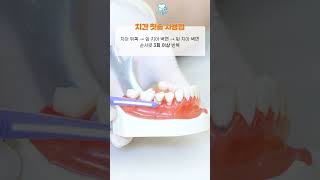 치간 칫솔 사용법 #칫솔추천