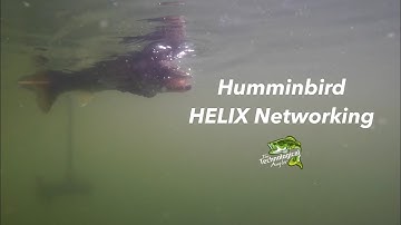 Humminbird HELIX | Networking | The Technological Angler