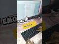 How to Open Emojis on Windows Keyboard in Seconds. #tips #windows.