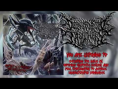 Defenestrated Treachery - Mummified by a Repulsive Arachnid Evolution [Slamming Brutal Death Metal]