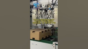 Hot Melt Glue Box Folding Machine Fruit box sealing machine for blueberry/raspberry/raspberry