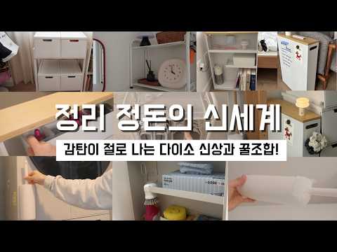 와 무릎을 탁! 치는 다이소 꿀템부터 신상까지! 공중부양 정리꿀템 / 다이소에 이 조합이면 정리정돈의 신세계가 열리는구나! / 정리정돈 / 삶의 질 상승템