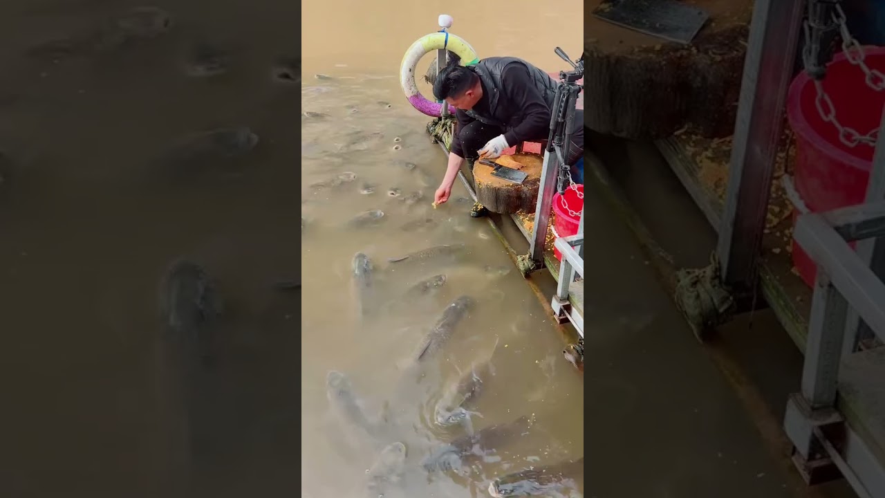 Chinese street food, street snacks 2026/03/04 09:22:18