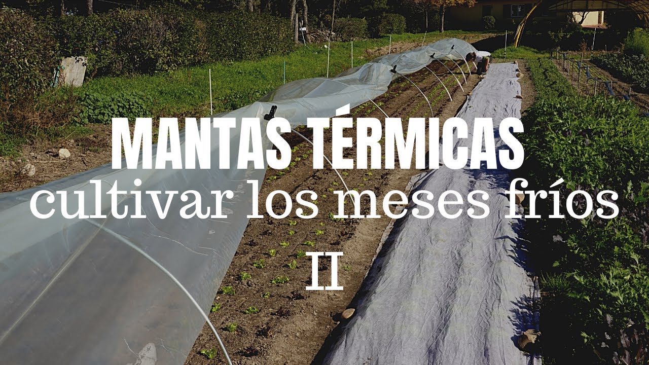 Cultivar los meses fríos | Mantas térmicas
