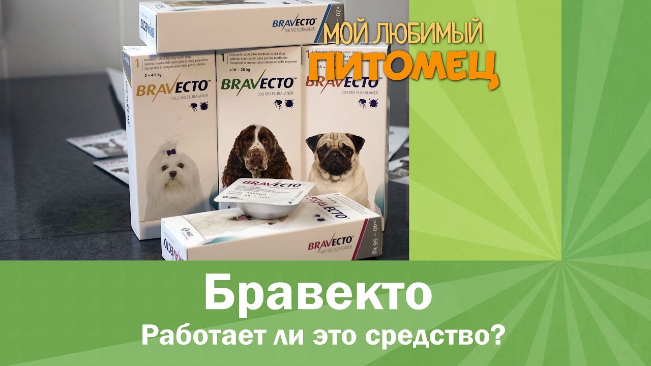 Защита от клещей средством Бравекто