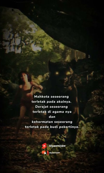 story wa macan kumbang l singkat saja #shorts #motivation #status #attitudestatus