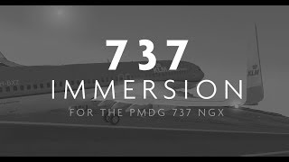 737NG CFM Immersion Soundpack HD. Новые звуки для 737 NGX