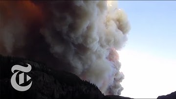 The Science Behind Forest Fires | How It Happens | The New York Times