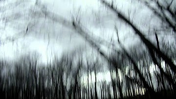 MJX X101 (quadcopter, drone) CRASH (FLIGHT FAIL)