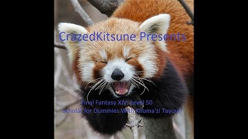 Final Fantasy XIV: Level 50 Scholar for Dummies With Khuma