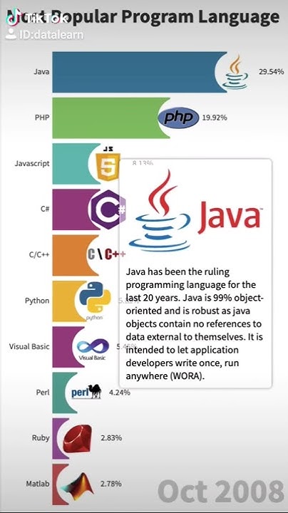 TikTok of Bar Chart Race | Most Popular Program Language in the World ...