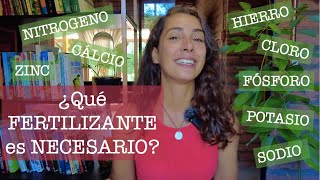 TUTORIAL de NUTRIENTES: ¿qué son y qué hacen?