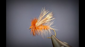 The big Caddis of fall. The October Caddis. #flyfishing #flytying #wildtrout